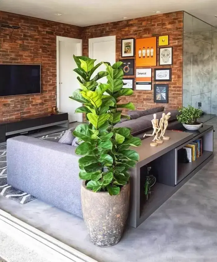 Vasos de plantas com aspecto envelhecido combina com decoração industrial Vasos de plantas com aspecto envelhecido combina com decoração industrial
