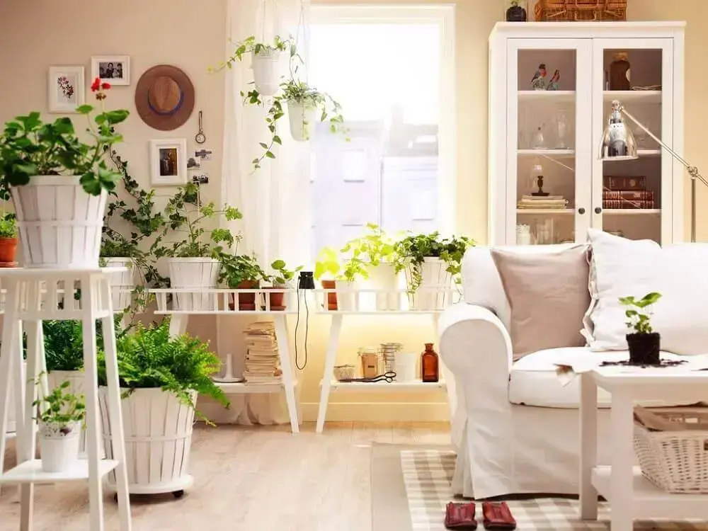 decoração com vasos de plantas decoração com vasos de plantas