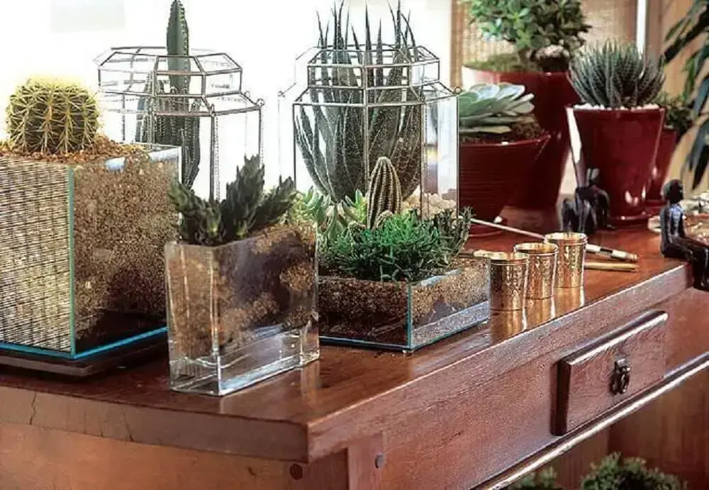 decoração vasos de vidro para plantas decoração vasos de vidro para plantas