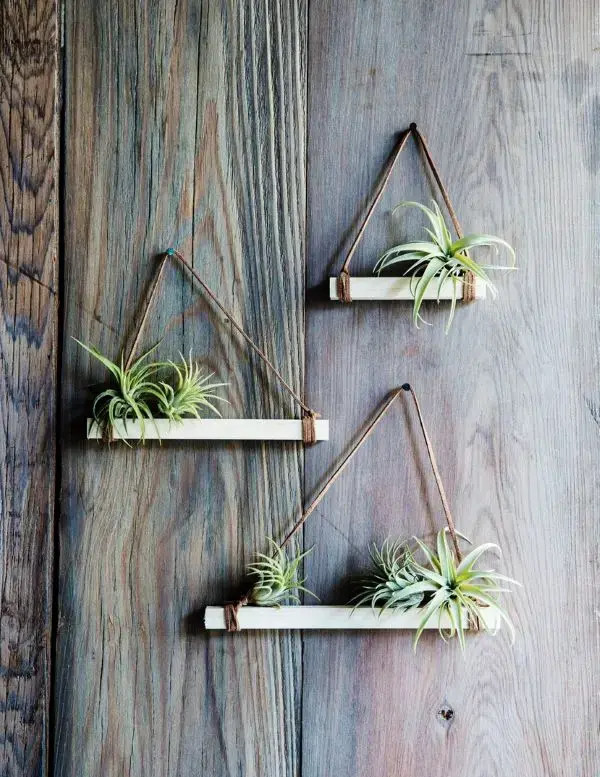 Decoração criativa com plantas aéreas e vaso minimalista Decoração criativa com plantas aéreas e vaso minimalista