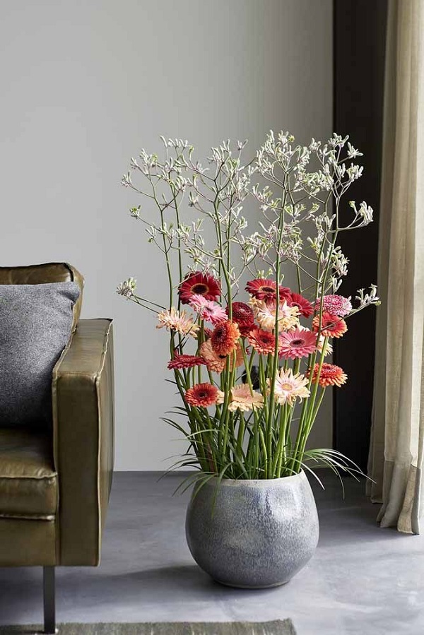 Flores coloridas para decoração de casa