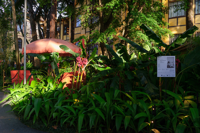 Projeto : ELKIS+ | CASACOR São Paulo| O Parque da Água Branca foi o cenário perfeito para receber o projeto de paisagismo na mostra neste ano.