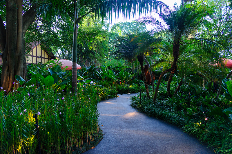 Projeto: ELKIS+ | CASACOR São Paulo | O refúgio tropical, com trilhas sinuosas que guiam os visitante, contam com folhagens exuberantes que evidenciam o verde e a conexão com a natureza.