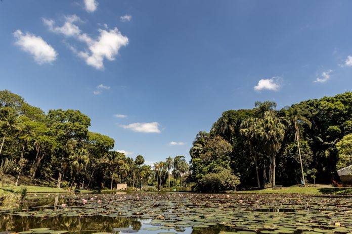 Jd. Botânico de São Paulo Lago da Ninfeias no Jd. Botânico de SP