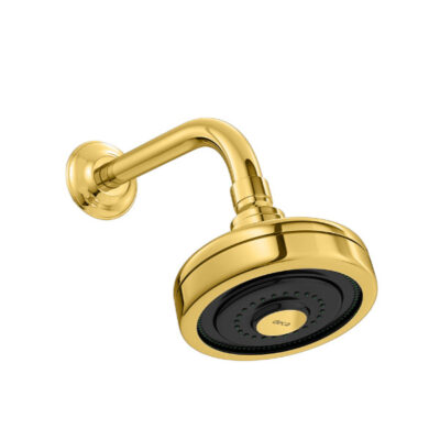 Chuveiro Deca Gold Acqua Plus Com Tubo Curvo 1990.GL.STD