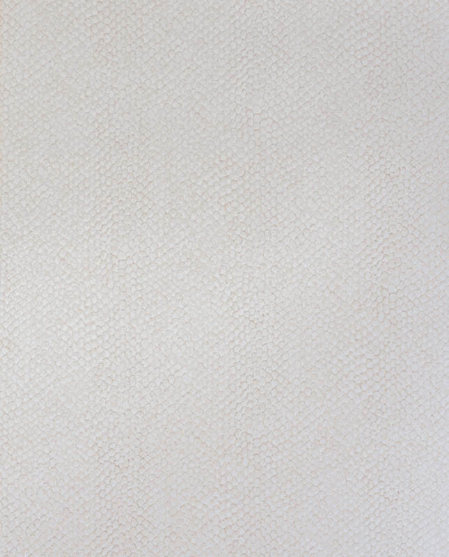 Divulgação Placas do BrasilAmazonas, da Placas do Brasil – Coleção Vozes