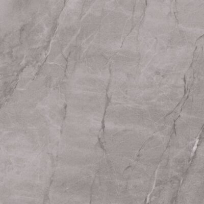 Portinari Pietra Di Savoie Gr Pol 1000X1000 6059563A