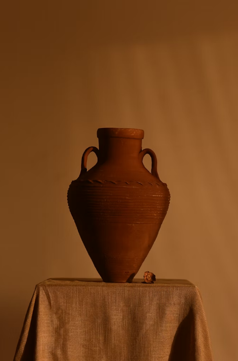 O nome vem do latim e significa algo como "carregar dos dois lados – Foto: Unsplash