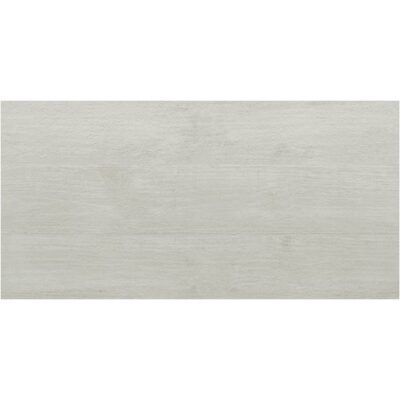 Portinari Dom Concrete Nat 584X1170 6060700A