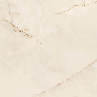 Portinari Timeless Al Pol 1000X1000 6061493A