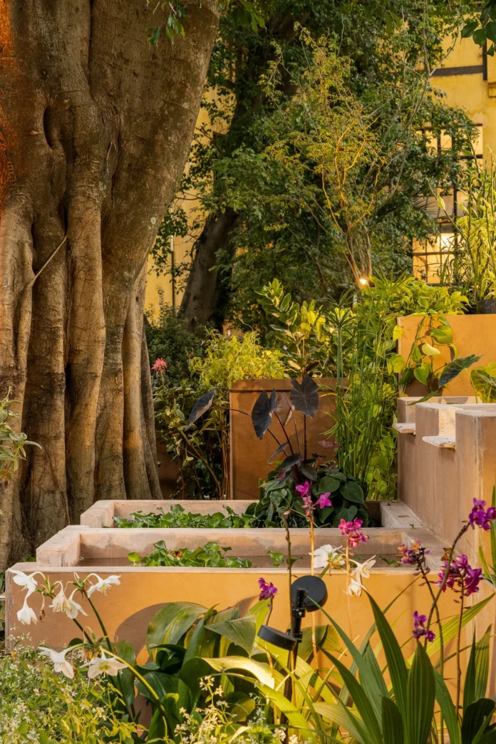 Plantas que cabem no bolso: espécies acessíveis da CASACOR inspiram jardins para todos os bolsos