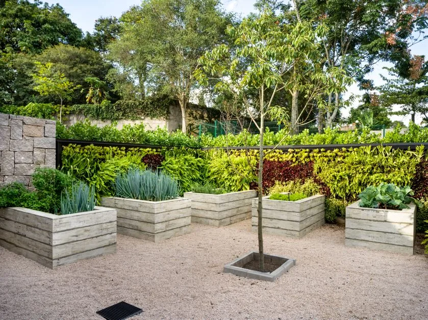 Como levar árvores frutíferas para o paisagismo residencial