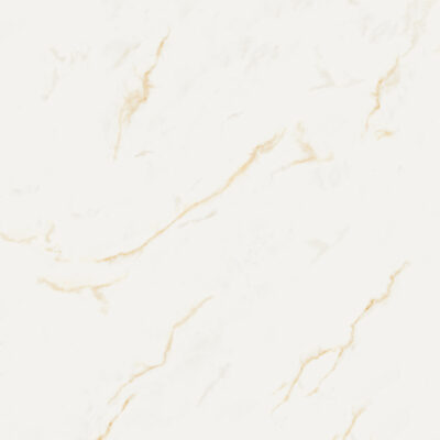 Portinari Calacata Real Pol 877X877 6058828A